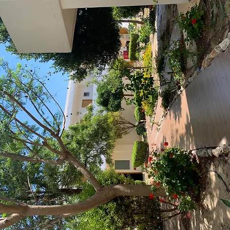 Anavadia קולימביה